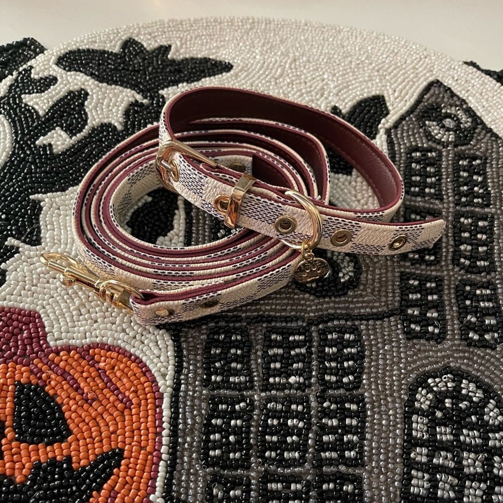 Dog collar with matching leash